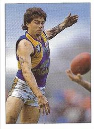 1990 Select AFL Stickers #244 Geoff Miles Front